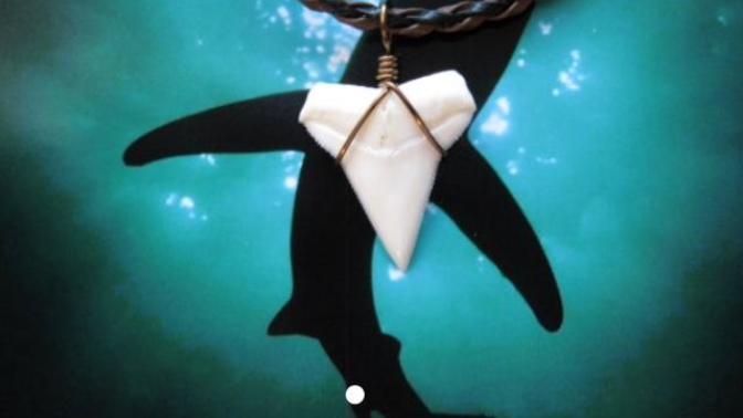 Can a shark tooth necklace make a guy seem more attractive, or at least appear more like a bad boy type?