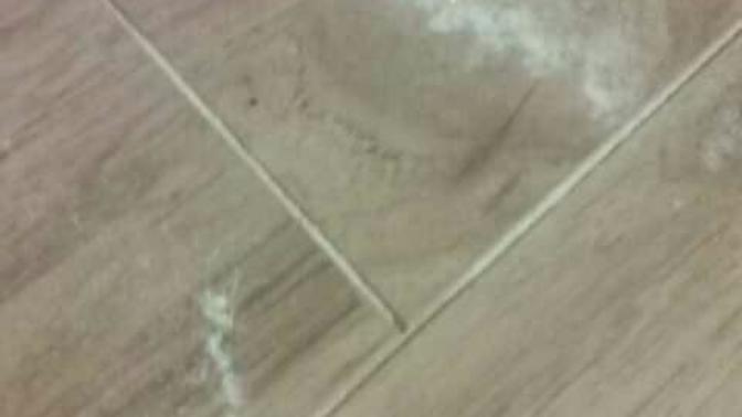 I found this weird sparkly white powder under my bed... What is it?