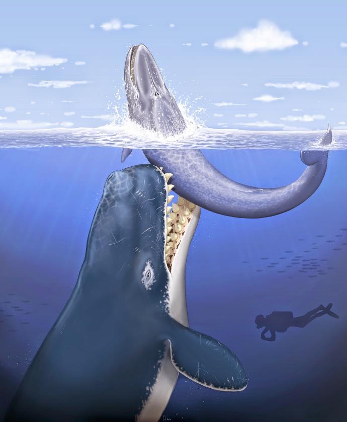 What is your favorite prehistoric sea monster?