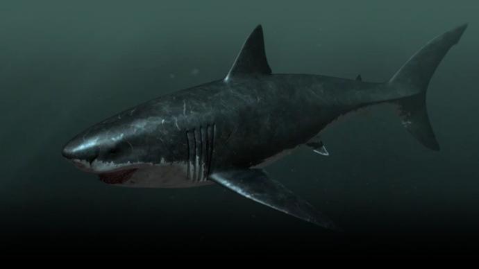 What is your favorite prehistoric sea monster?