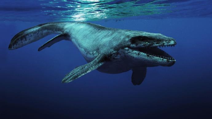 What is your favorite prehistoric sea monster?