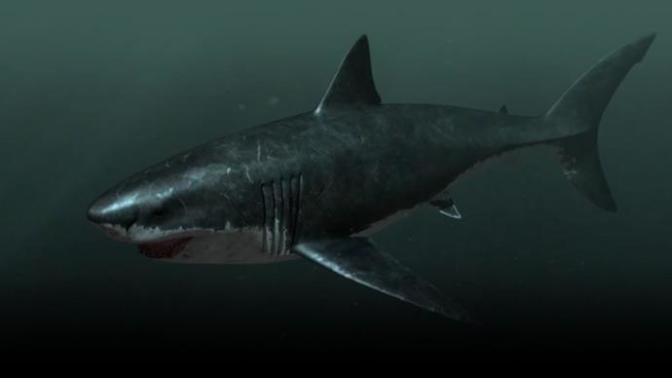 What is your favorite prehistoric sea monster?