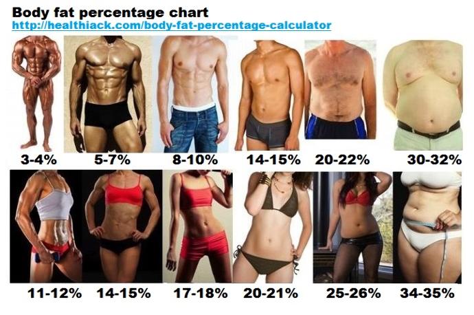 What is the Best Body Fat Percentage for the opposite sex?