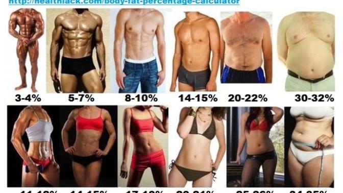 What is the Best Body Fat Percentage for the opposite sex?
