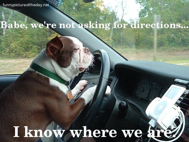 In general who do you think is the better driver, Men or Women?