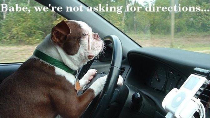 In general who do you think is the better driver, Men or Women?