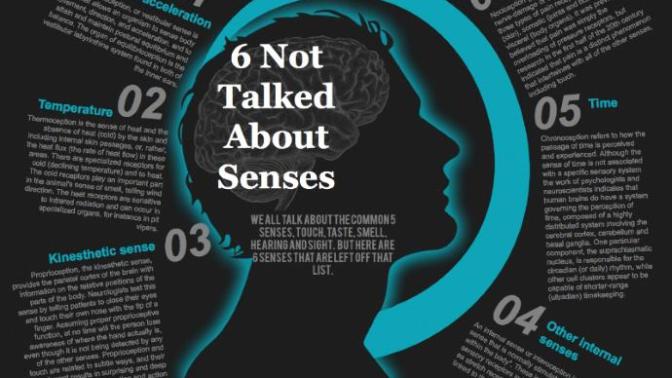 Do you believe everything your senses perceive?