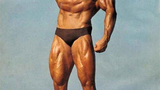 Do you think that Arnold Schwarzenegger had a nice body🏋🏽💪🏼?