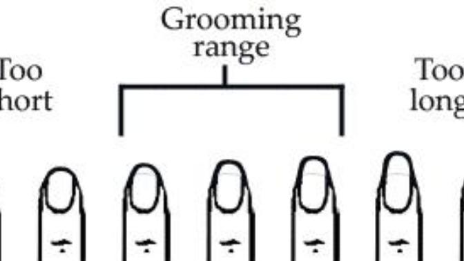 Guys, Do You Like Long OR Short Nails on Girls?