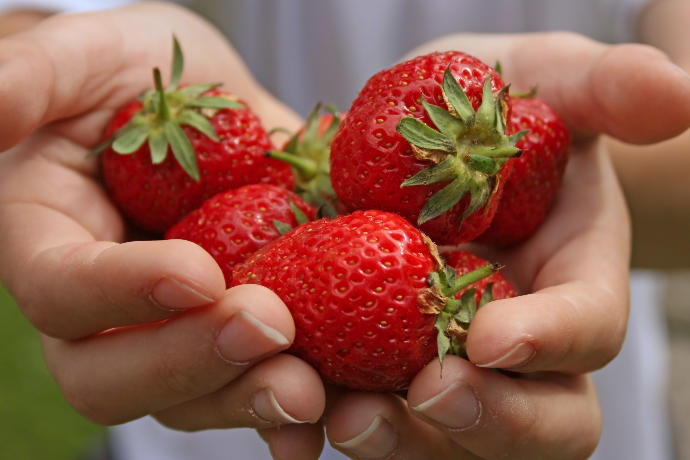 What is your favorite berry?