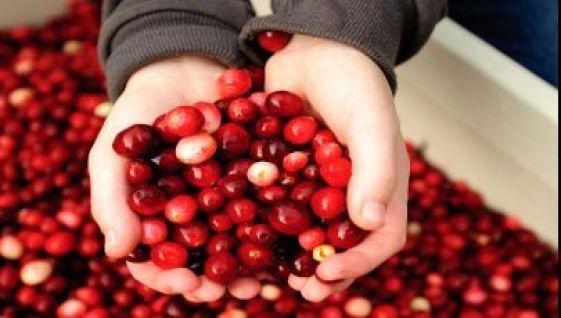 What is your favorite berry?