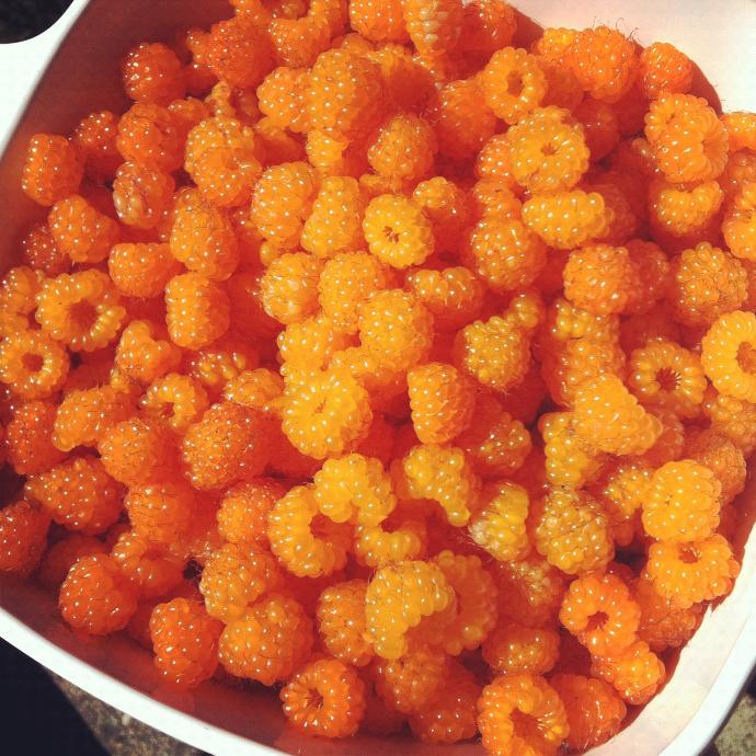 What is your favorite berry?