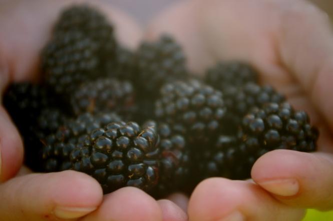 What is your favorite berry?