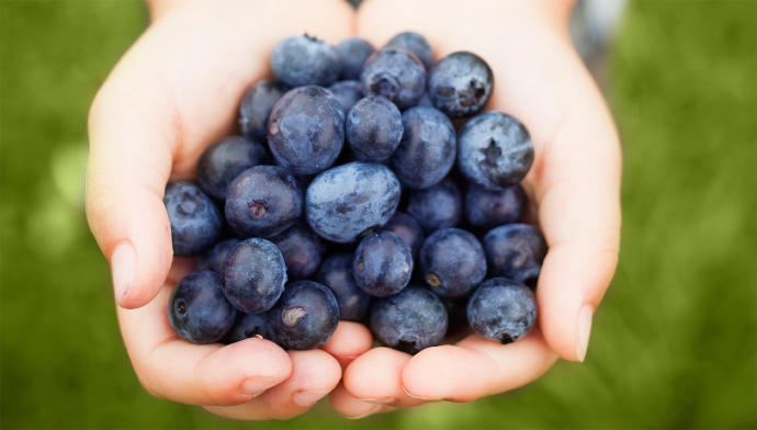 What is your favorite berry?