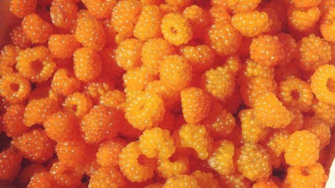 What is your favorite berry?