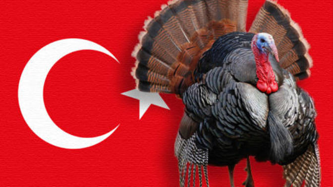 What do you think of "eating" TURKEY?