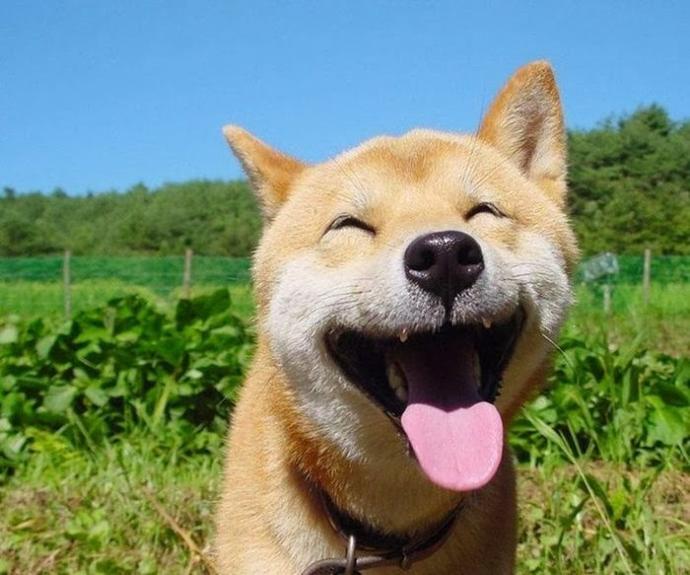 Do you smile easily?