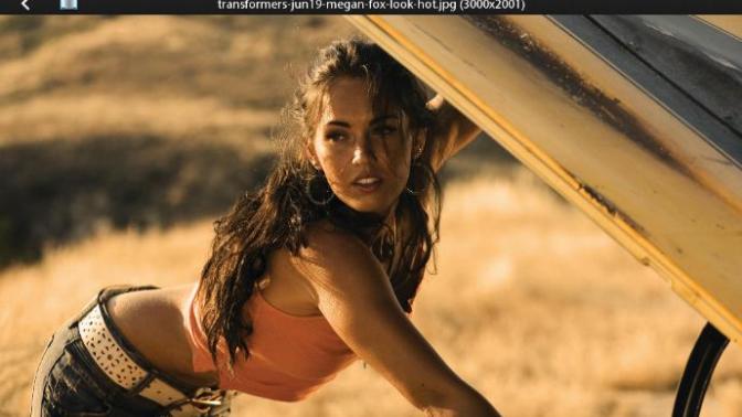 Do you think the only reason why a lot of guys say they like Megan Fox is because they think she's hot?