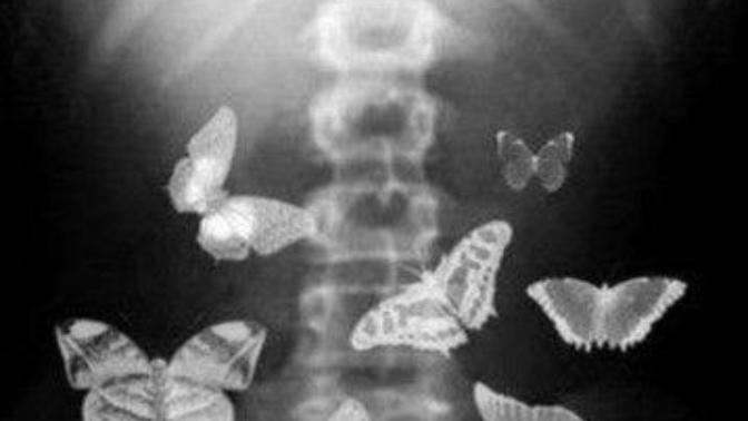 Have you felt butterflies in your stomach?