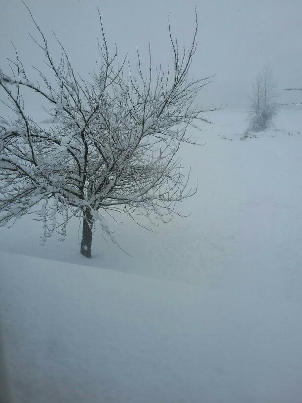 opinions on snow?
