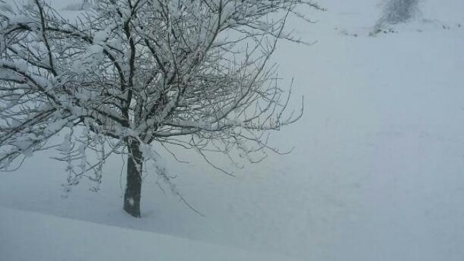 Opinions on snow?
