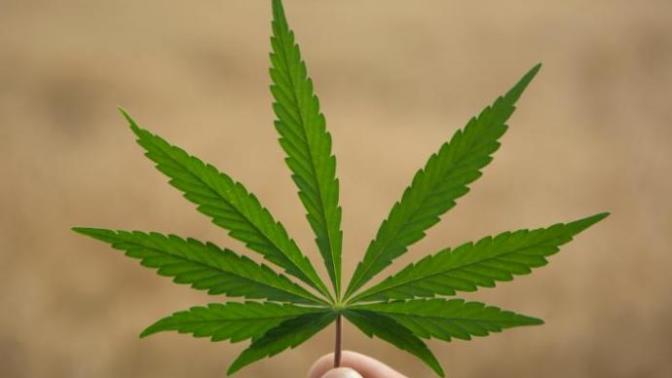 Do you think Marijuana should be legalized nationwide in the USA?