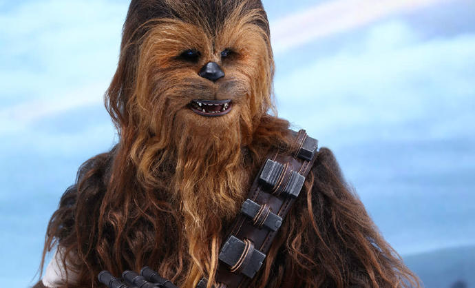 Is chewbacca the coolest character in the Star Wars universe???