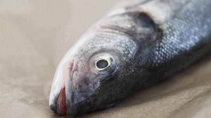 Fish eaters, can you eat fish with the heads still on them?