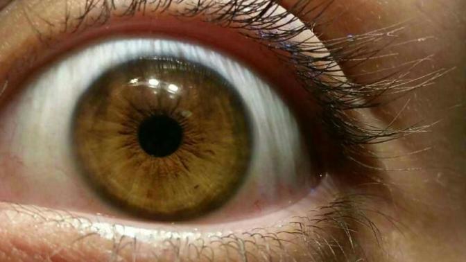 Which eye color do I have?