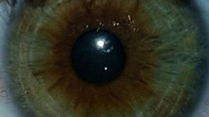 What colour are my eyes?