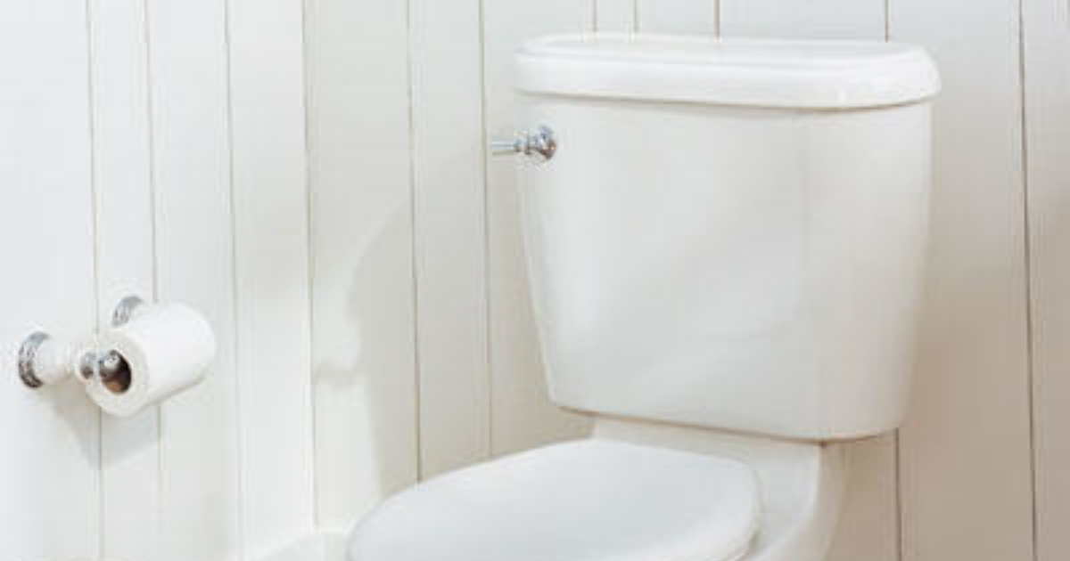 eastern toilet seat