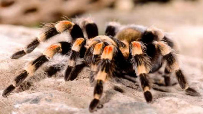 Isn't it a cutie?