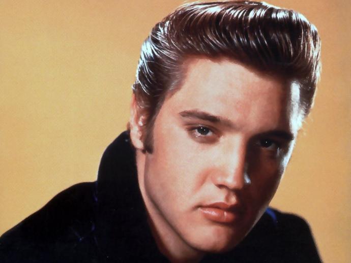 Girls what type of guy you prefer: Hot guy like David Gandy, Sean o'pry or Beautiful looking guy like Elvis Presley, Johnny depp?