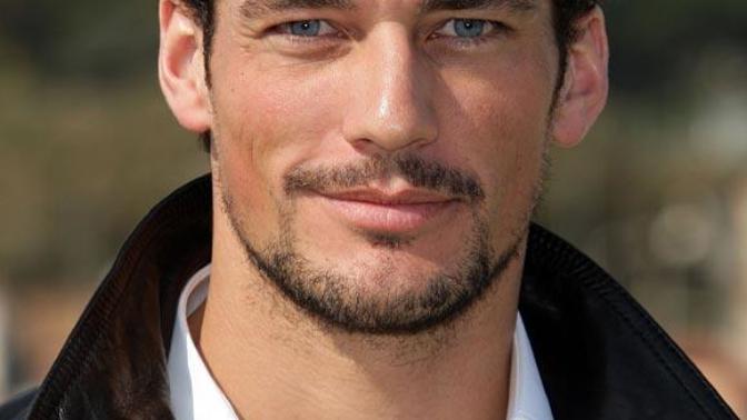 Girls what type of guy you prefer: Hot guy like David Gandy, Sean o'pry or Beautiful looking guy like Elvis Presley, Johnny depp?