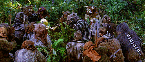 How would you react if you stumbled upon an Ewok Camp and they began to worship you like a God?