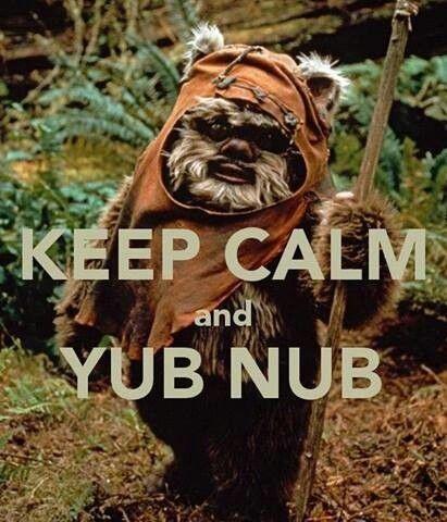 How would you react if you stumbled upon an Ewok Camp and they began to worship you like a God?