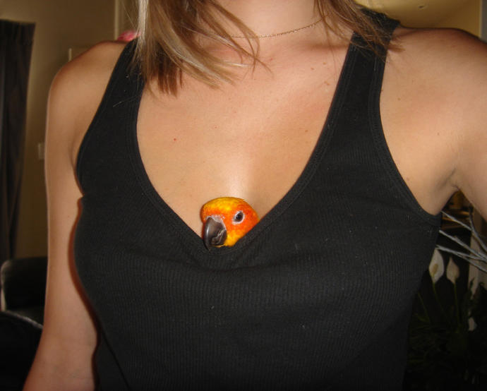 Girls, would you ever let a bird snuggle in your cleavage?