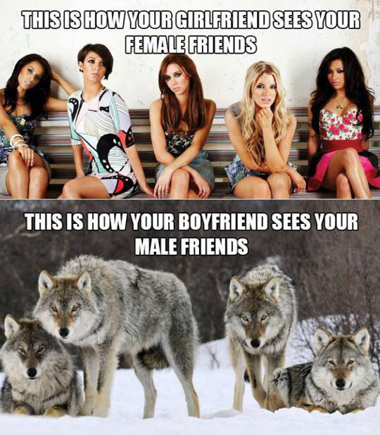 What do you think of best friends of the opposite sex?