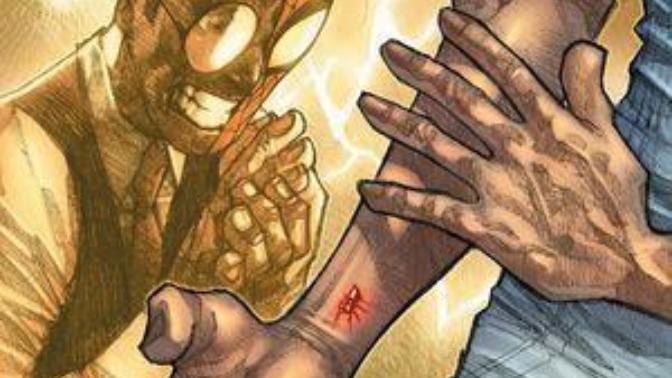 Would you like if Spiderman film franchise introduced a female Spiderwoman?