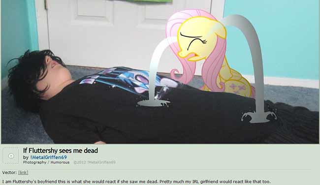 Girls, would you date a Brony?