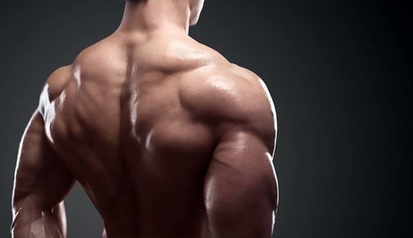 Girls, SEXIEST MUSCLES on a GUY?
