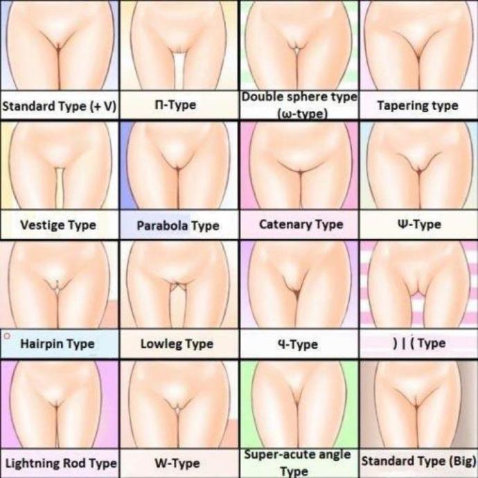 Girls, Which One Is Your Vagina Type?