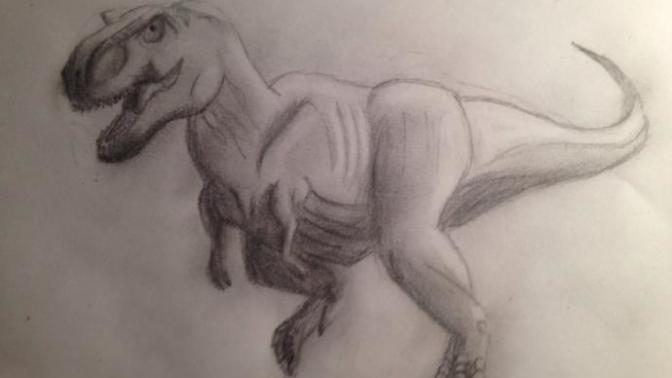 Am I a good drawer?