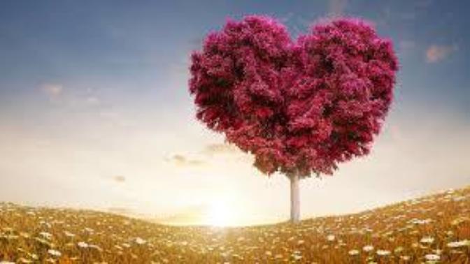 Do You Have a Special Person in Your Life, Somebody You Can't Forget, No Matter What?