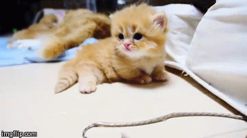 How many pillows do you sleep with?