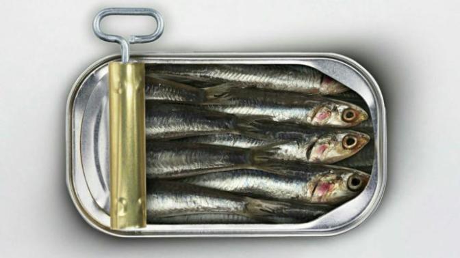 Would YOU try these weird foods?