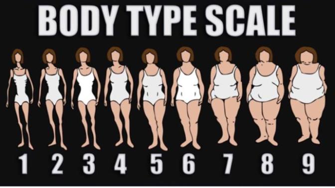Your ideal body Type?