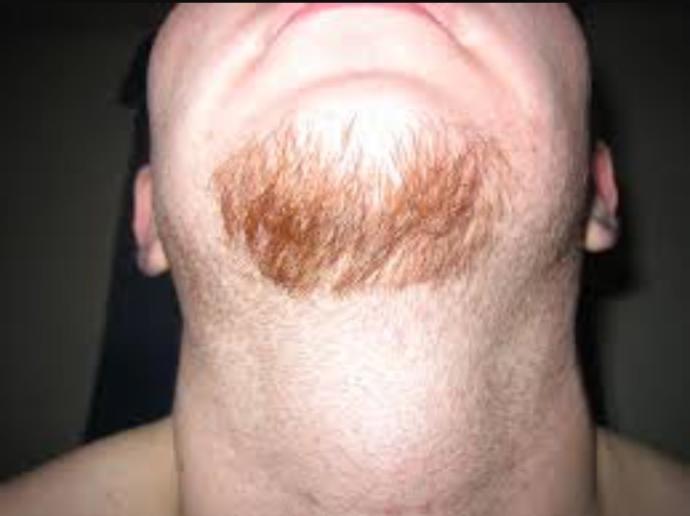Girls, Ladies, Do you find men who rock Mustace and a Goatee attractive?