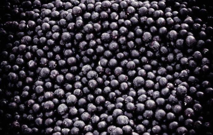 What's your favorite berry to eat?