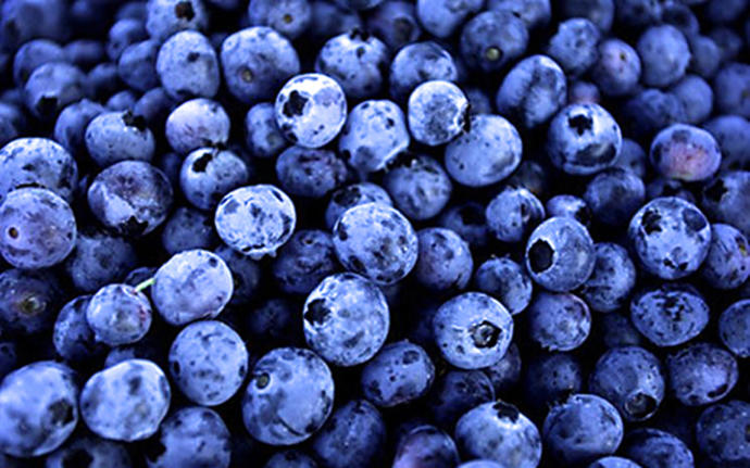 What's your favorite berry to eat?